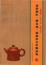 壶相问镜  壶影摇红·蒋金凤·孙鼎朴合作精品集 封面