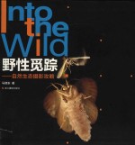 野性觅踪  自然生态摄影攻略 封面