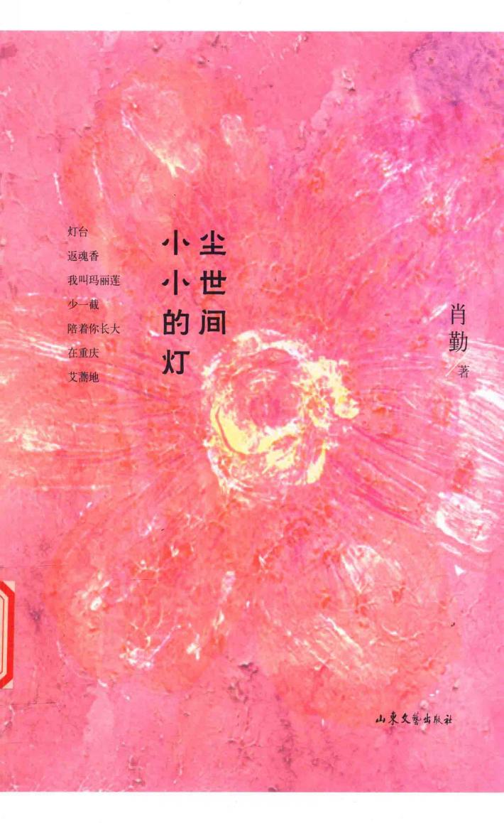 尘世间小小的灯 封面