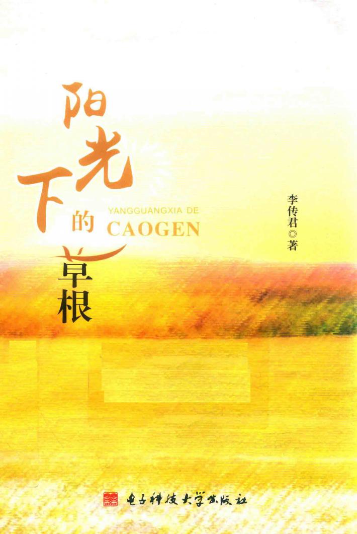 阳光下的草根 封面