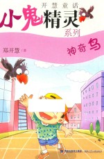 小鬼精灵系列  神奇鸟 封面