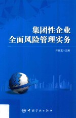 集团性企业全面风险管理实务 封面