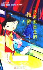 一只离家出走的拖鞋 封面