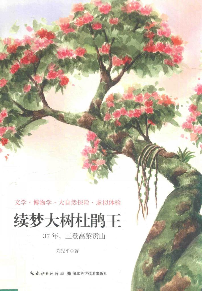 续梦大树杜鹃王 封面