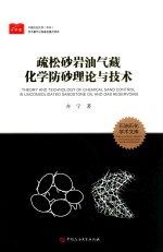 疏松砂岩油气藏化学防砂理论与技术 封面