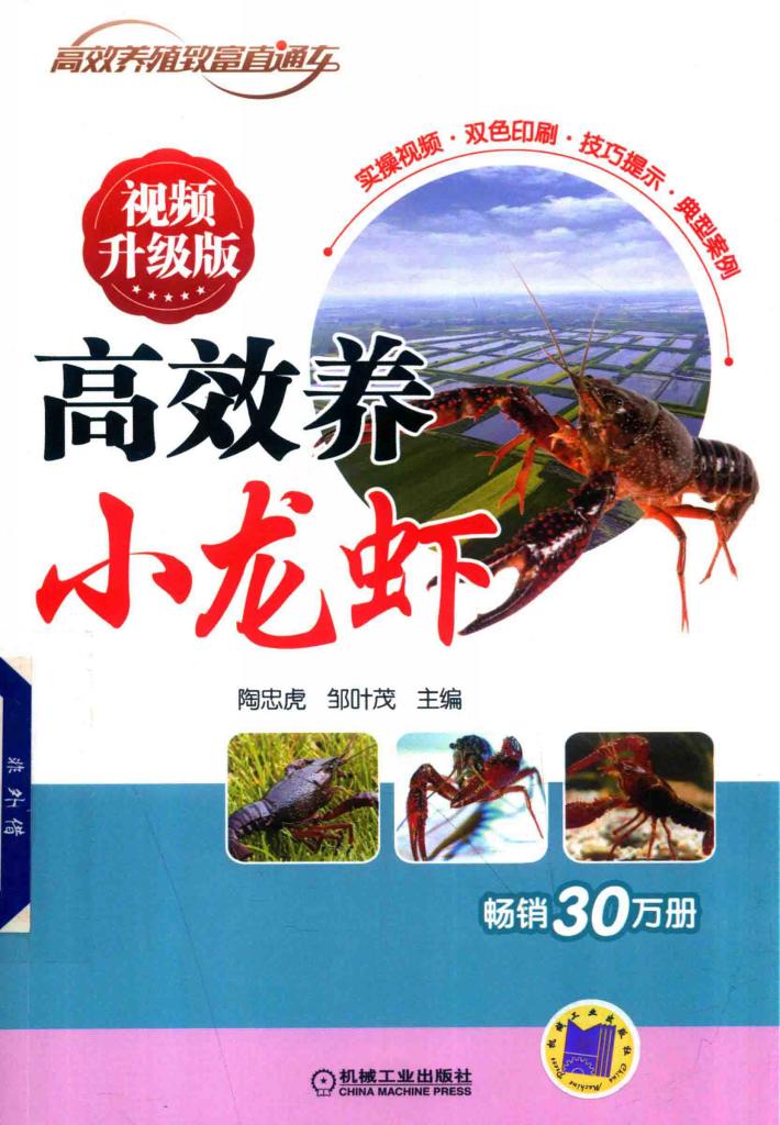 高效养小龙虾  视频升级版 封面