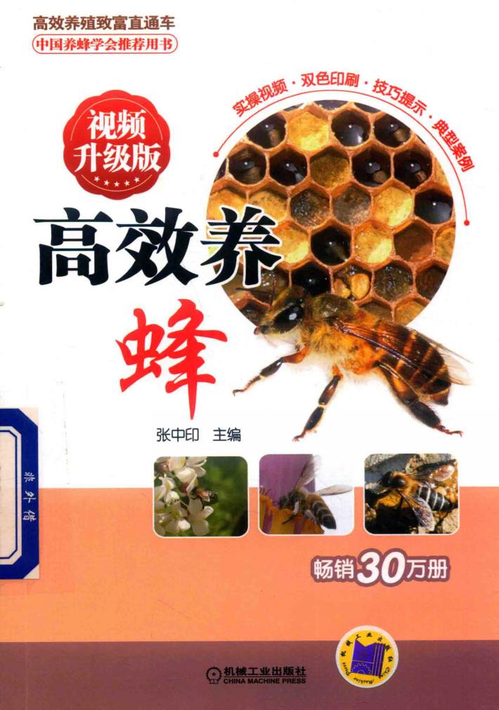 蜜蜂养殖技术大全书籍  高效养蜂  视频升级版 封面