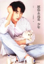 愿你永远是少年 封面