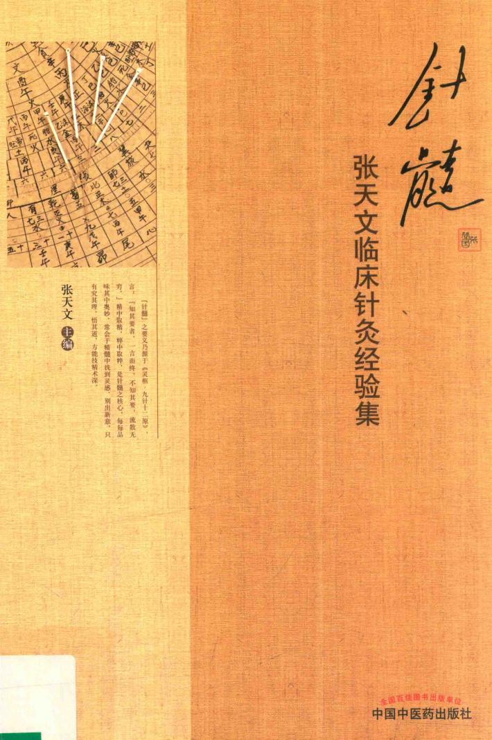 针髓  张天文临床针灸经验集 封面