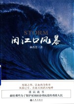 闽江口风暴 封面