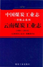 1991-2014中国煤炭工业志  省级志系列  云南煤炭工业志 封面