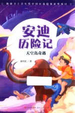 天空岛奇遇 封面