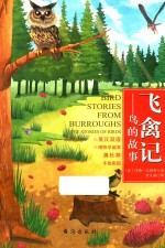 飞禽记  鸟的故事 封面