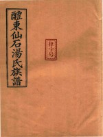 醴东仙石汤氏族谱  3 封面