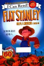 纸片人斯坦利大冒险  9  足智多谋的稻草人 封面