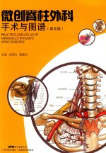微创脊柱外科手术与图谱  普及版 封面