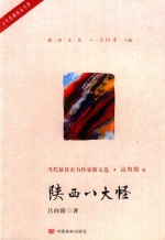 陕西八大怪 封面