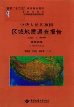 中华人民共和国区域地质调查报告库赛湖幅 封面