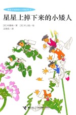 星星上掉下来的小矮人 封面
