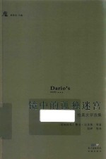 镜中的孤独迷宫 封面