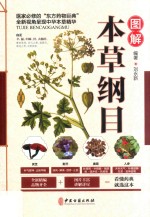 图解本草纲目 封面