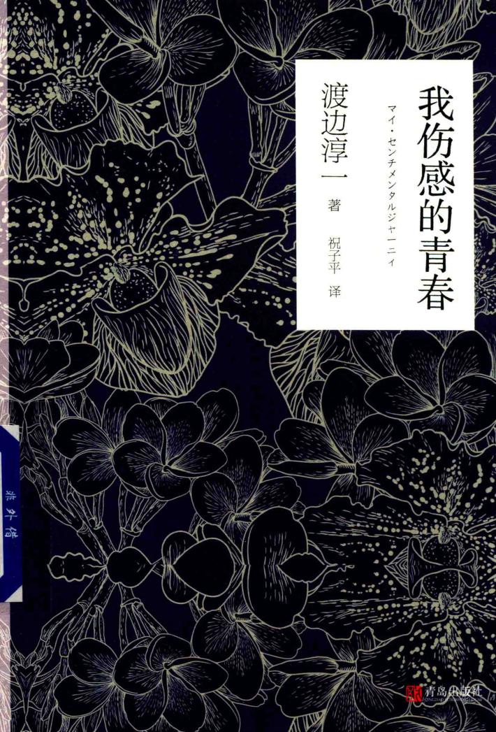 我伤感的青春  渡边淳一作品 封面