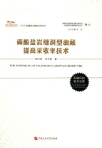 碳酸盐岩缝洞型油藏提高采收率技术 封面