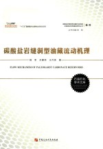 碳酸盐岩缝洞型油藏流动机理 封面