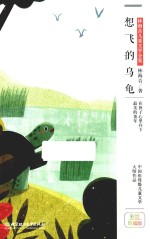 想飞的乌龟 封面