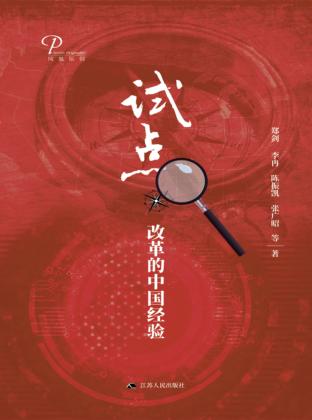 试点  改革的中国经验 封面