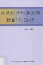 临床妇产科常见病诊断与治疗 封面