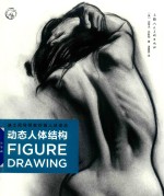 动态人体结构  迪士尼导师教你画人体姿态 封面