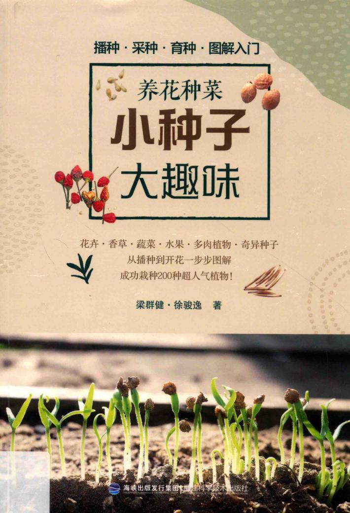 养花种菜  小种子大趣味 封面