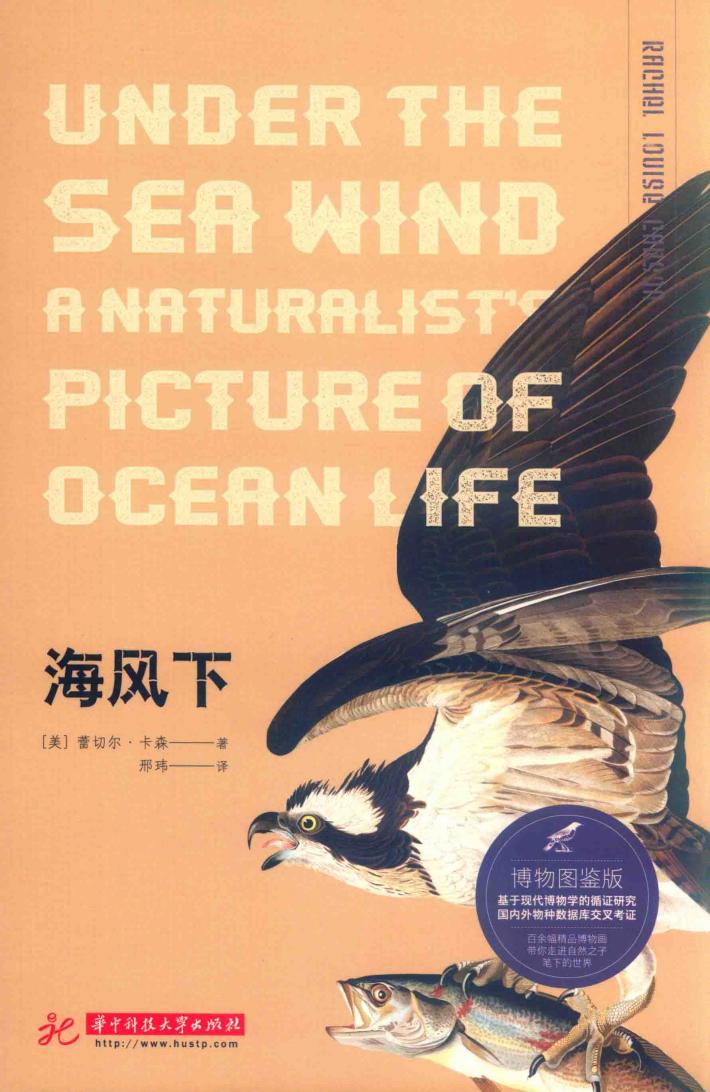 蓝知了  海风下  博物图鉴版 封面