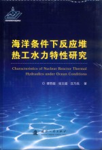 海洋条件下反应堆热工水力特性研究 封面