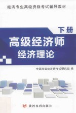 高级经济师经济理论  下 封面