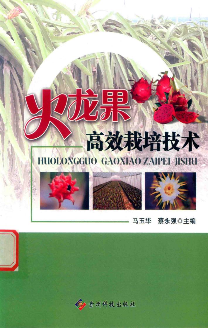 火龙果高效栽培技术 封面