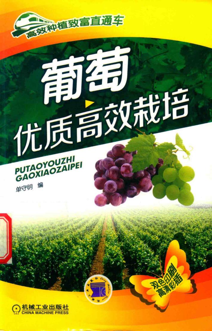 葡萄优质高效栽培 封面