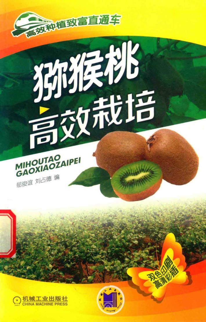 猕猴桃高效栽培 封面