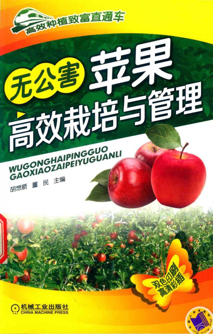 无公害苹果高效栽培与管理 封面