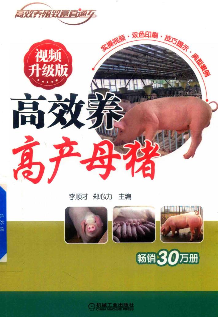 高效养高产母猪  视频升级版 封面
