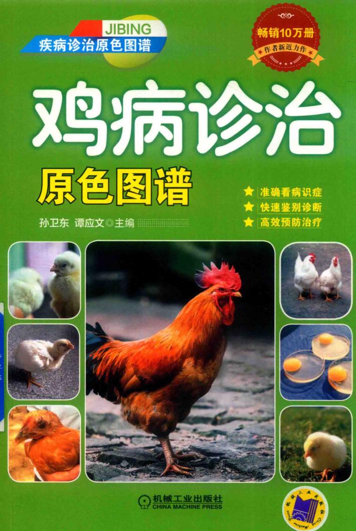 鸡病诊治原色图谱  疾病诊治原色图谱 封面