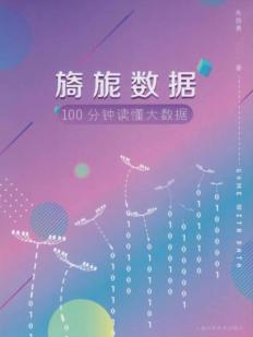 旖旎数据  100分钟读懂大数据 封面