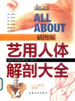 西方绘画技法经典教程  艺用人体解剖大全 封面