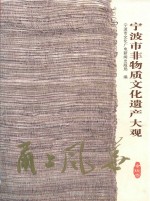 甬上风华  宁波市非物质文化遗产大观  余姚卷 封面