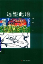 远望此地 封面
