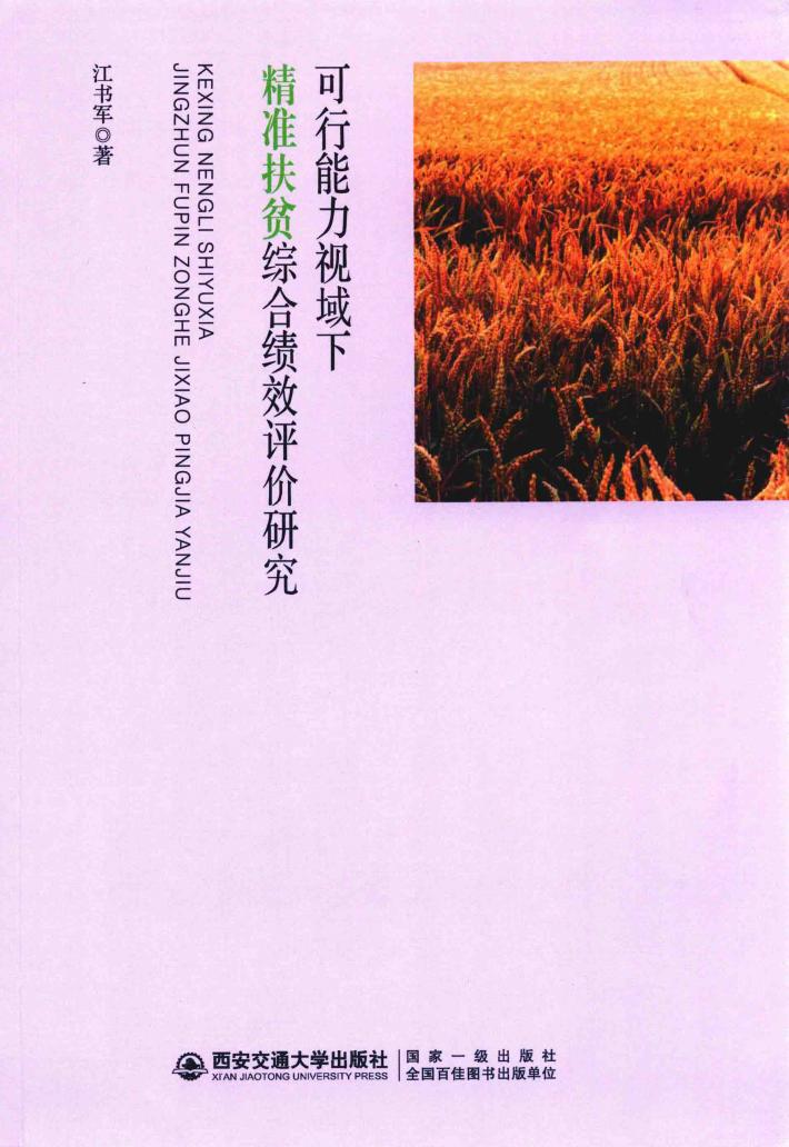 可行能力视域下精准扶贫综合绩效评价研究 封面