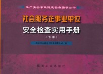 社会服务企事业单位安全检查实用手册  下 封面