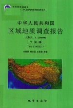 中华人民共和国区域地质调查报告  丁固幅 （I45C004002）  比例尺1：250000 封面