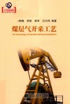 煤层气开采工艺 封面